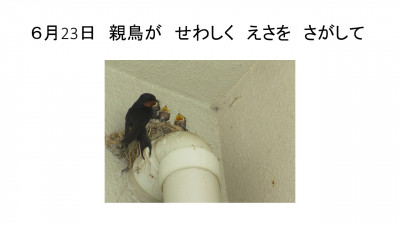 スライド34