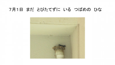 スライド35
