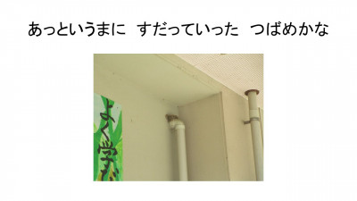 スライド36