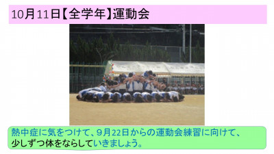 スライド40