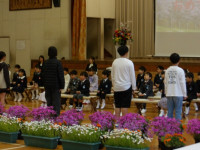 IMGP0163