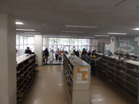 IMGP0900