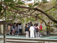 IMGP0930