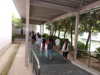 IMGP0931