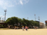 IMGP0517