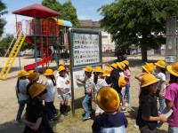 IMGP0518