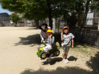 IMGP0533