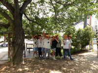IMGP0539