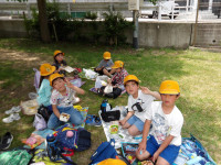 IMGP0546