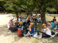 IMGP0608