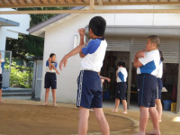 IMGP1294