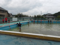 IMGP2070