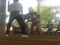 IMGP0088