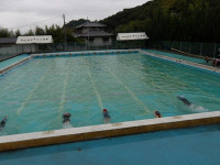 IMGP0451