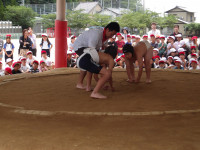 IMGP0605