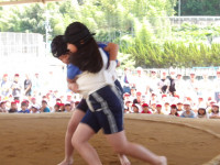 IMGP0480