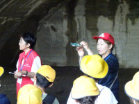 DSC00237