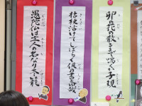 DSC00254