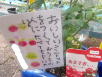 IMGP0693