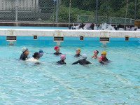 IMGP0016
