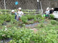 IMGP0064
