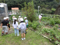 IMGP0066