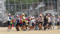 IMGP2036