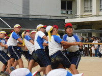 DSCN0334