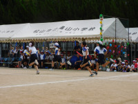 DSCN0543