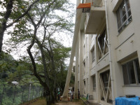 IMGP0398