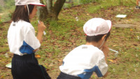 IMGP1954